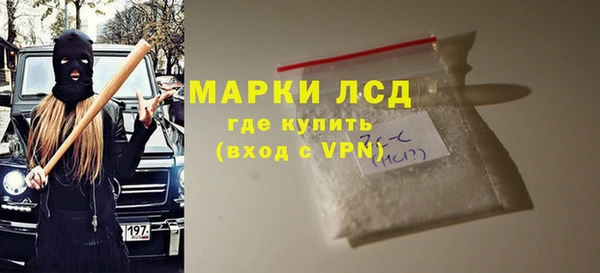 хмурый Аркадак