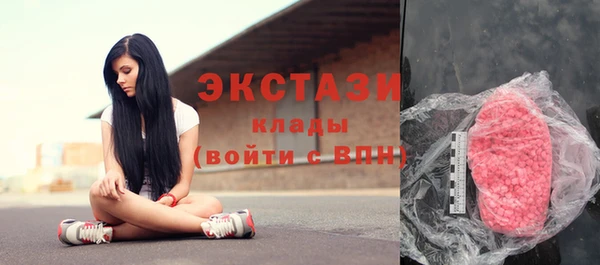 хмурый Аркадак