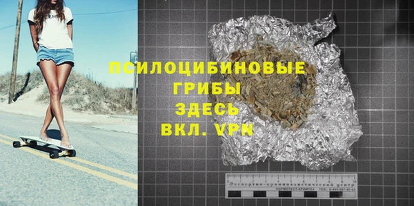 хмурый Аркадак