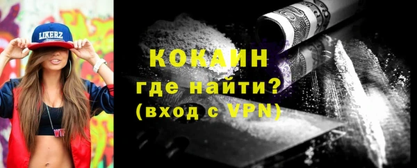 хмурый Аркадак