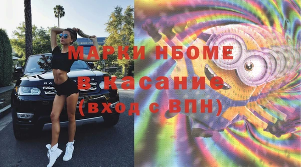 хмурый Аркадак