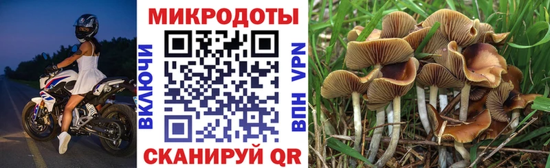 Галлюциногенные грибы Magic Shrooms  Певек 
